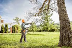 Seasonal Cleanup (Spring/Fall) in Gouldtown, NJ