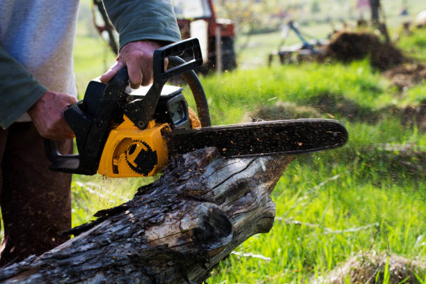 Trusted Gouldtown, NJ Tree Care Experts